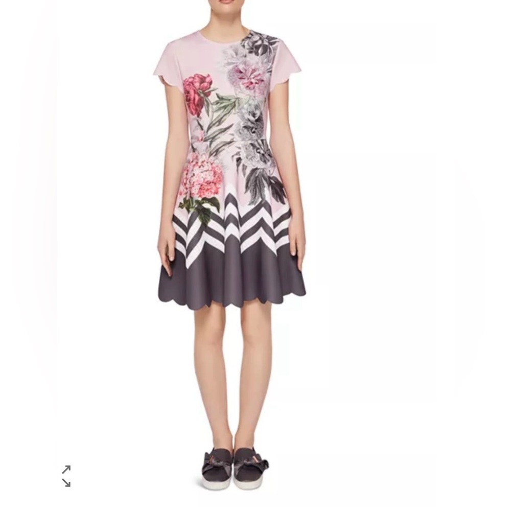 Ted Baker Haiilie Palace Gardens Scalloped dress size 1 pink and gray
